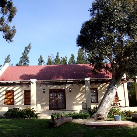 Calais Wine Estate Affittacamere Paarl Esterno foto