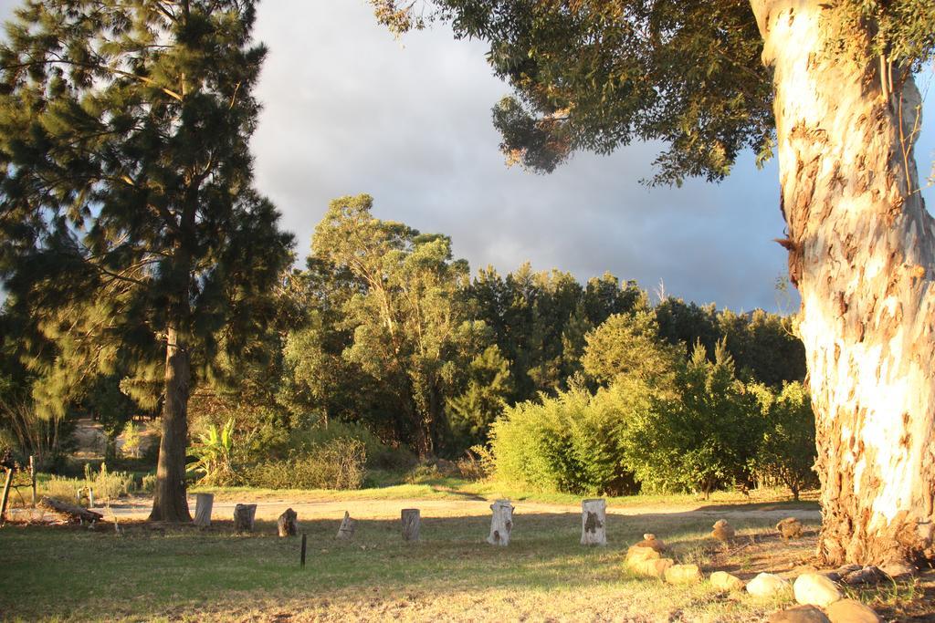 Calais Wine Estate Affittacamere Paarl Esterno foto
