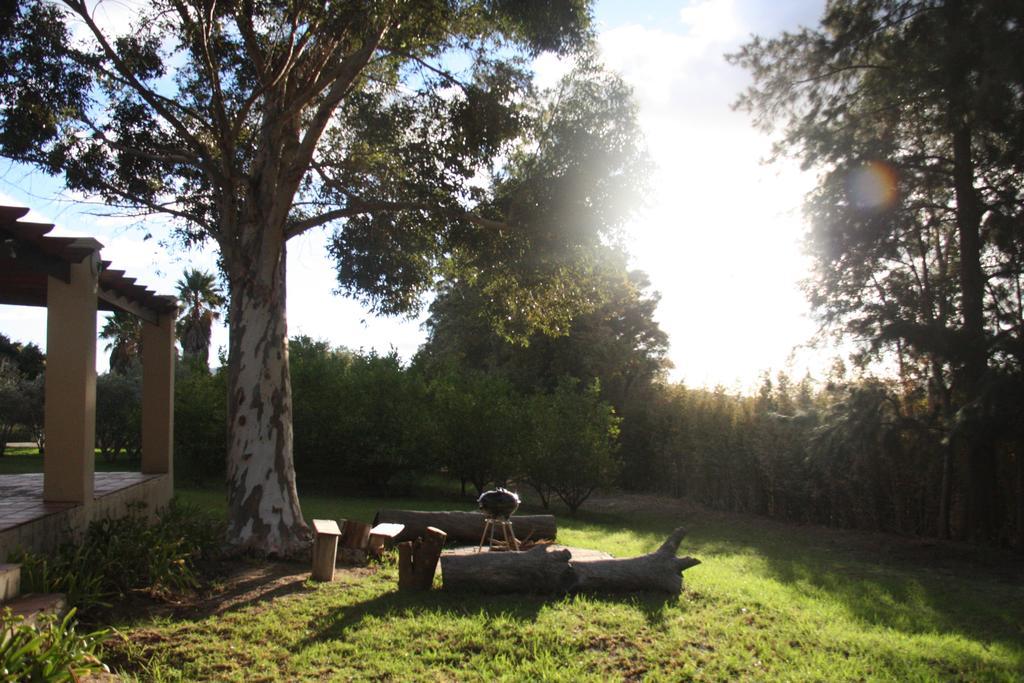 Calais Wine Estate Affittacamere Paarl Esterno foto