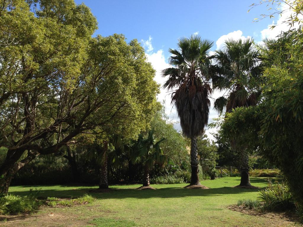 Calais Wine Estate Affittacamere Paarl Esterno foto
