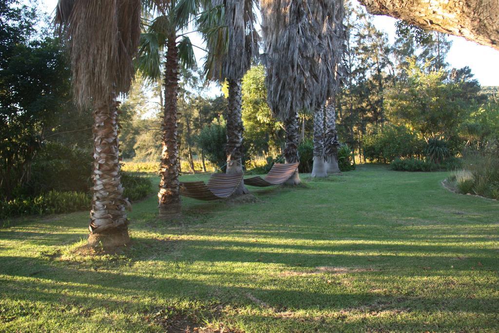 Calais Wine Estate Affittacamere Paarl Esterno foto