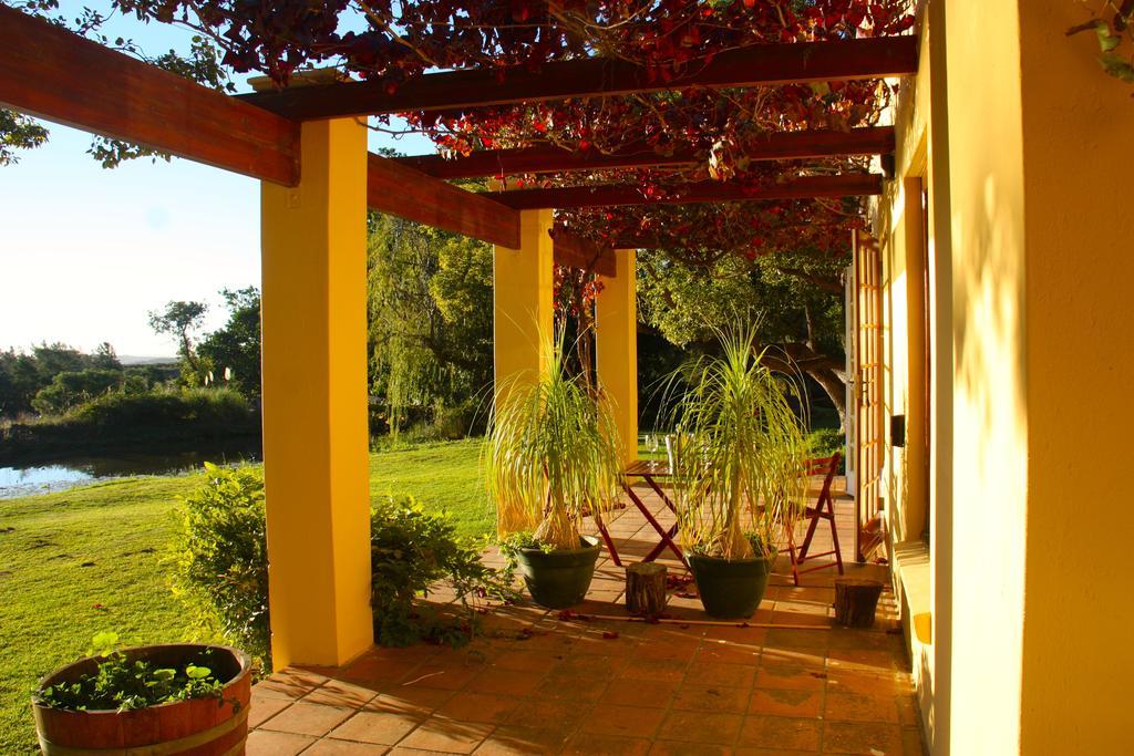 Calais Wine Estate Affittacamere Paarl Esterno foto